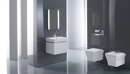 Зеркало Jacob Delafon Reve EB576-NF 100х65 см, с подсветкой