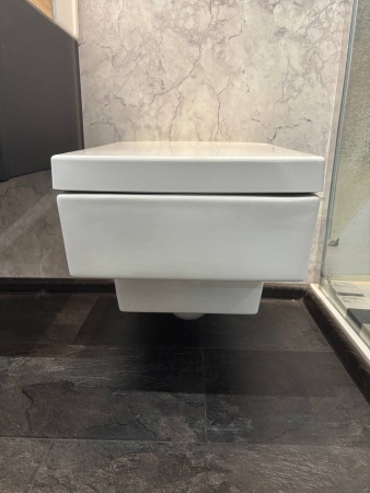 Комплект: Унитаз подвесной Jacob Delafon Terrace EDA102-00 с сиденьем E70019-00 с микролифтом