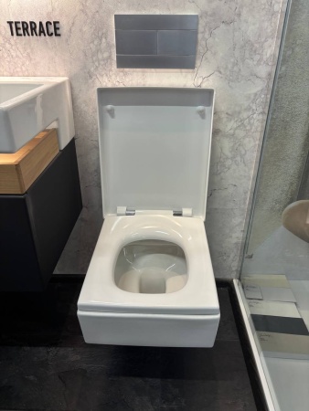 Комплект: Унитаз подвесной Jacob Delafon Terrace EDA102-00 с сиденьем E70019-00 с микролифтом