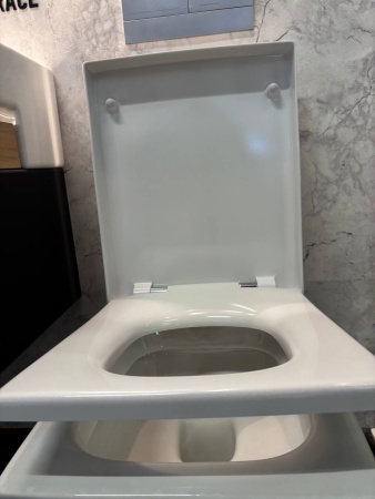 Комплект: Унитаз подвесной Jacob Delafon Terrace EDA102-00 с сиденьем E70019-00 с микролифтом